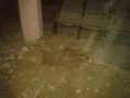/album/estado-cine-avenida/img-20130410-wa0011-copia-jpg/